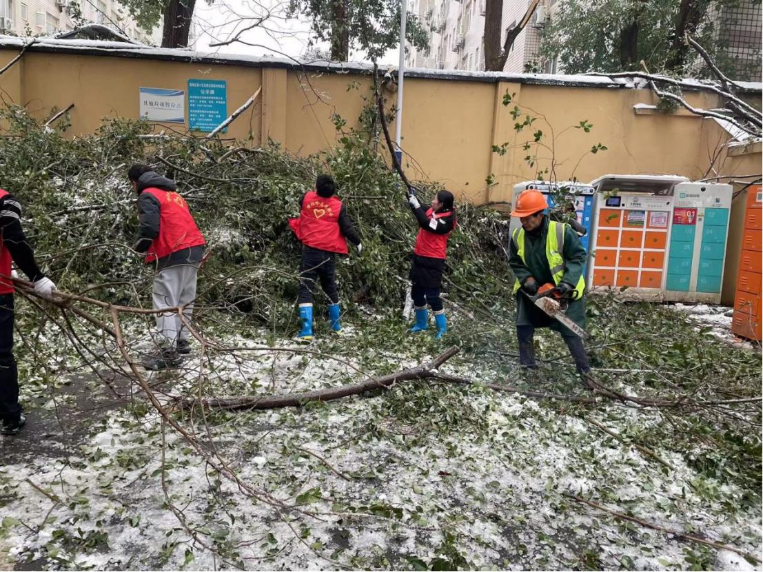 AG8�콢����(�й�)������ҳ