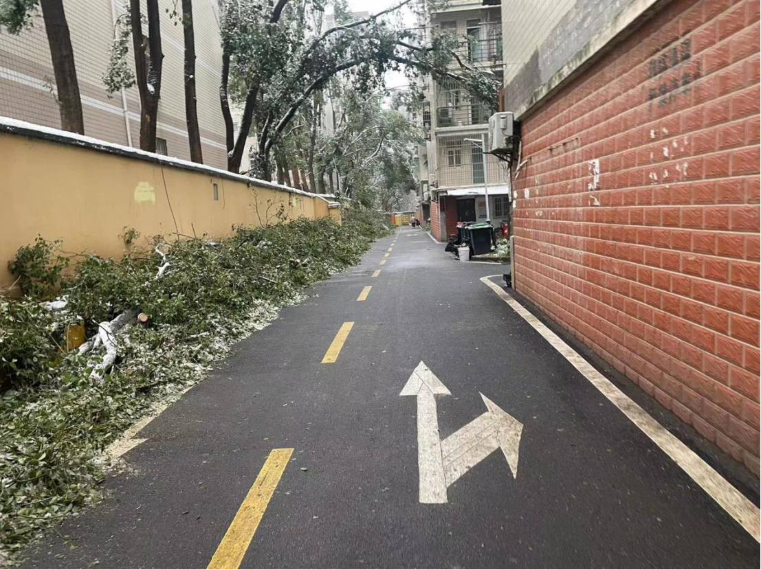 AG8�콢����(�й�)������ҳ