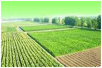 AG8�콢����(�й�)������ҳ