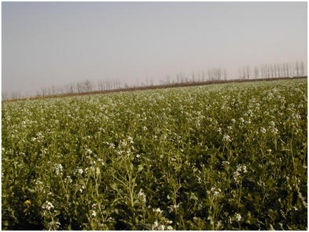 AG8�콢����(�й�)������ҳ