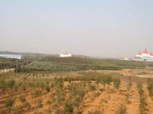 AG8�콢����(�й�)������ҳ