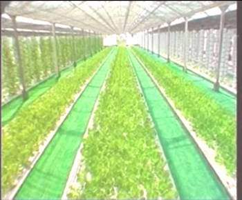 AG8�콢����(�й�)������ҳ