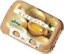 AG8�콢����(�й�)������ҳ