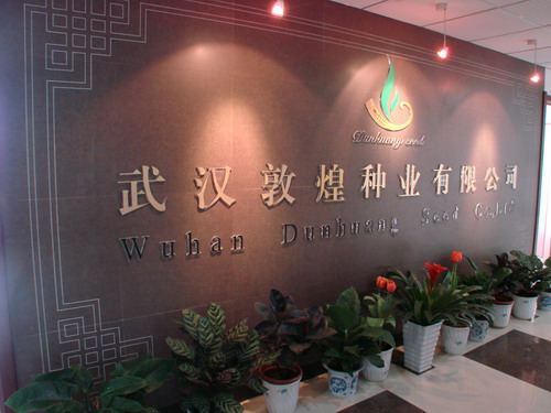 AG8�콢����(�й�)������ҳ