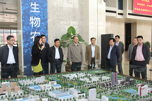 AG8�콢����(�й�)������ҳ