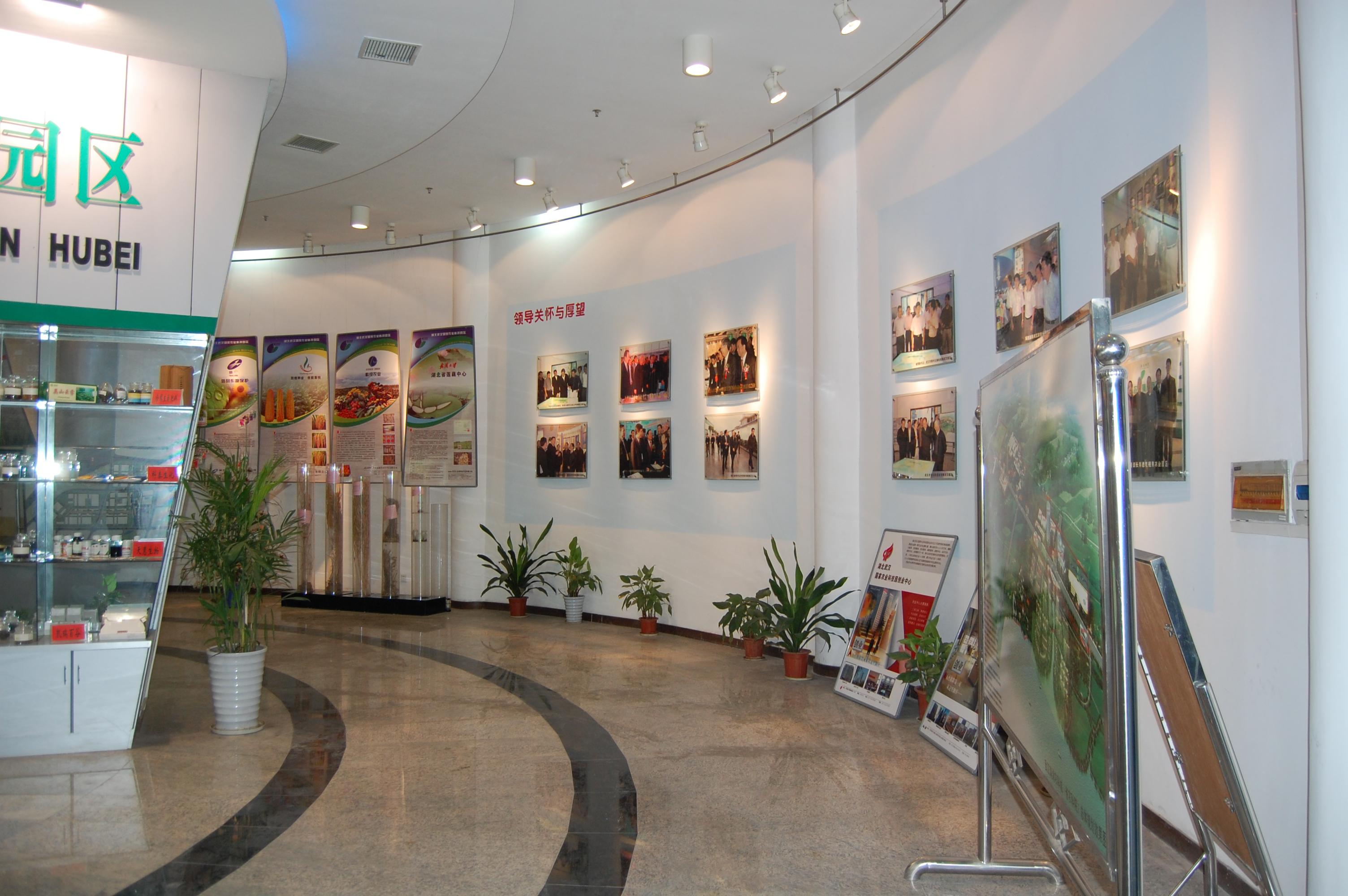 AG8�콢����(�й�)������ҳ