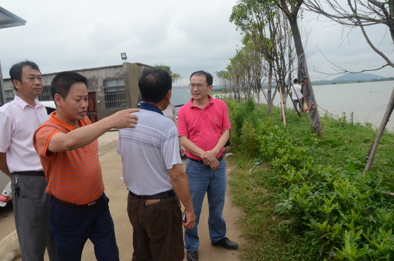 AG8�콢����(�й�)������ҳ