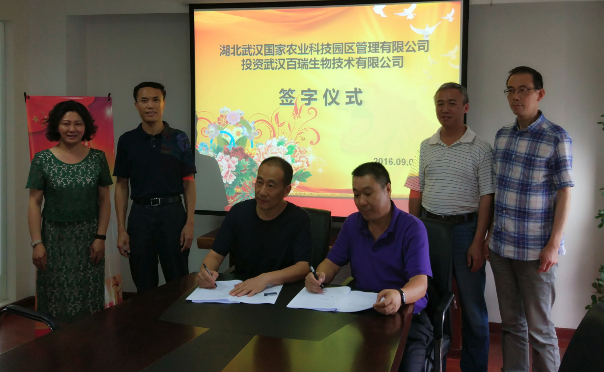 AG8�콢����(�й�)������ҳ