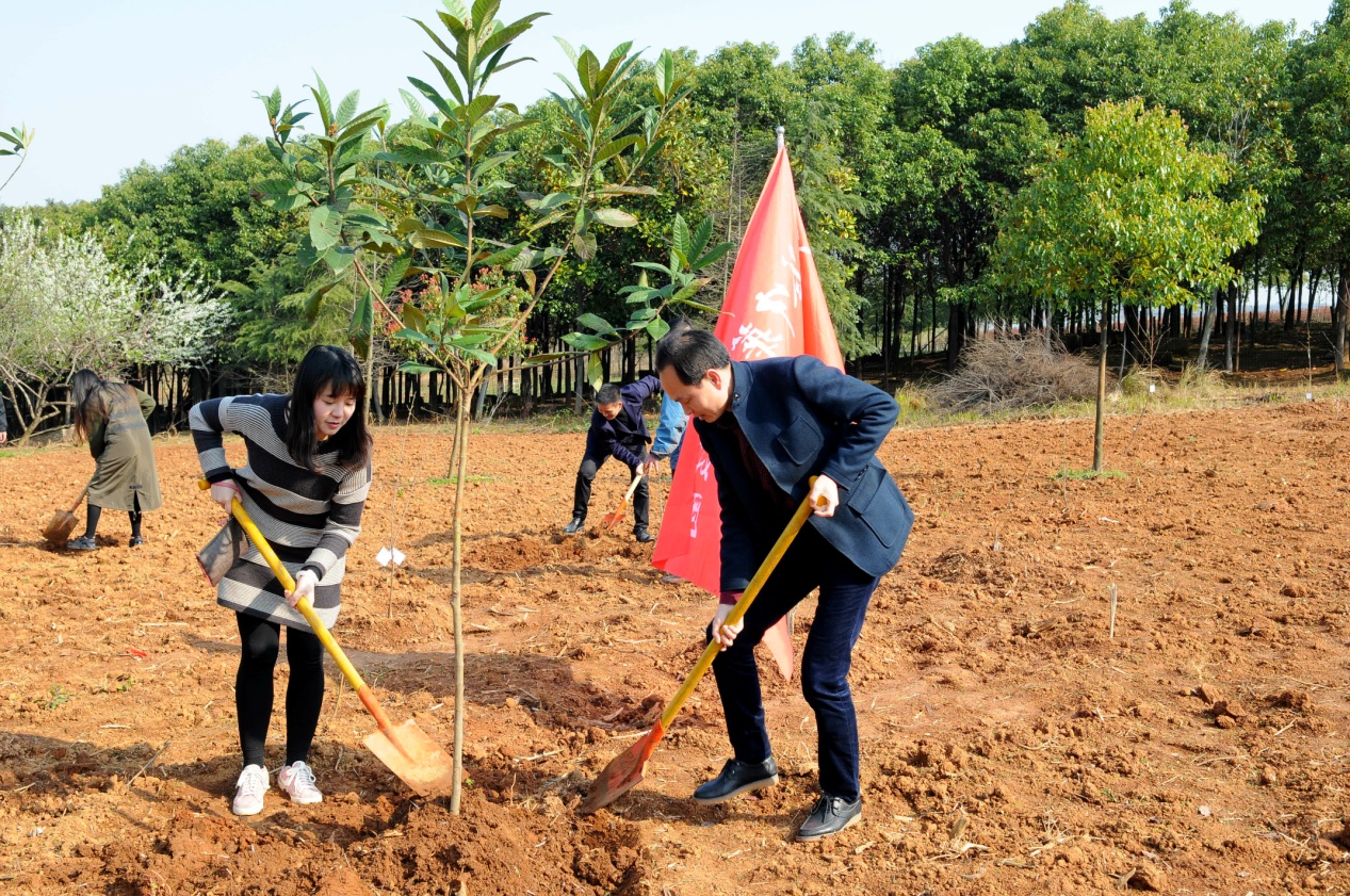 AG8�콢����(�й�)������ҳ