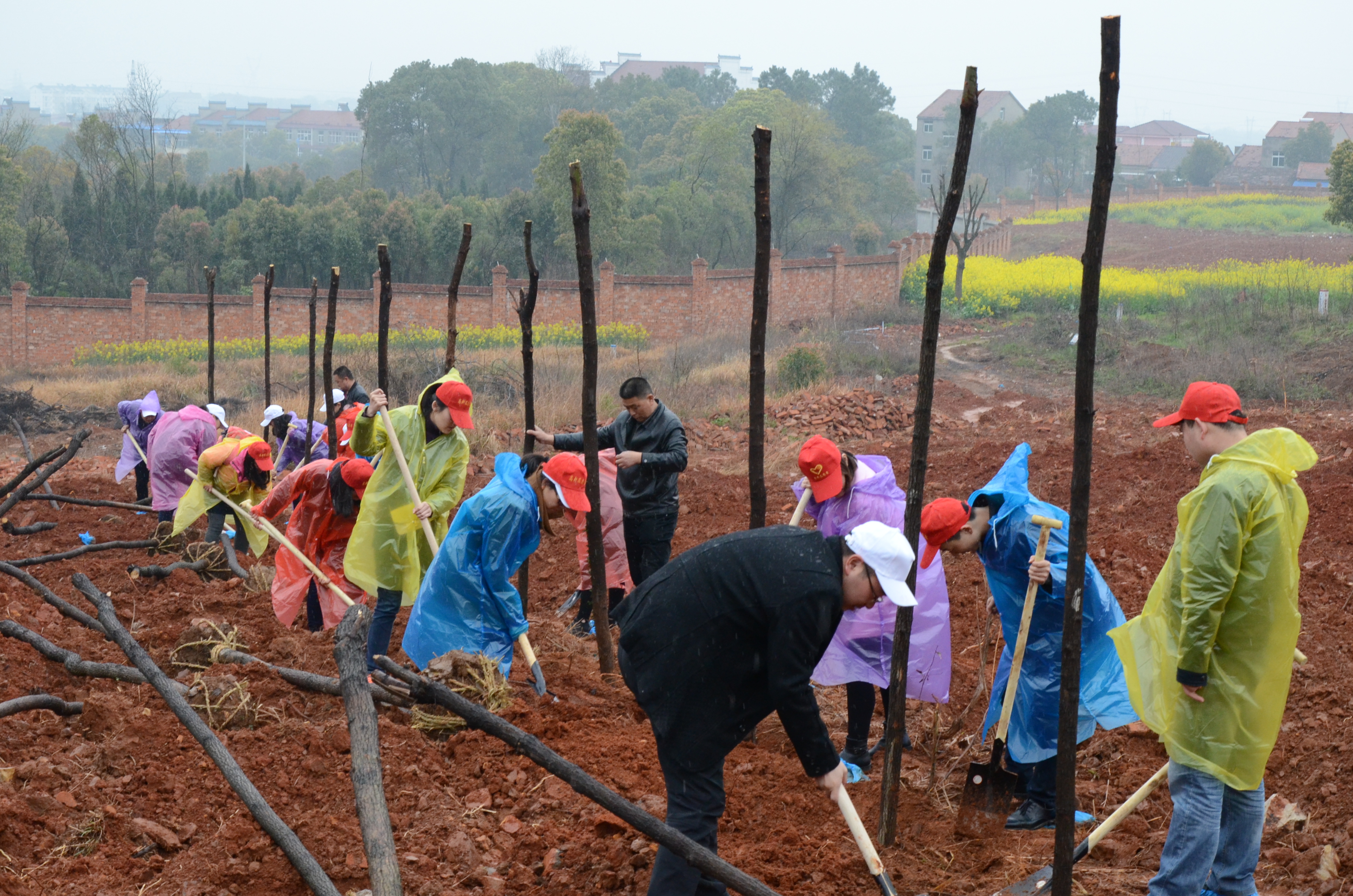 AG8�콢����(�й�)������ҳ