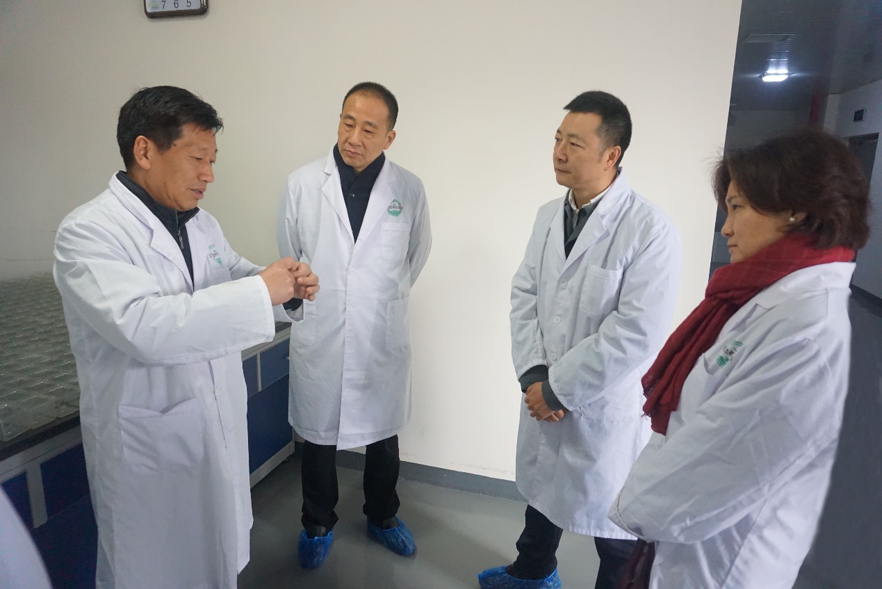 AG8�콢����(�й�)������ҳ