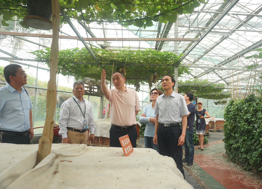 AG8�콢����(�й�)������ҳ