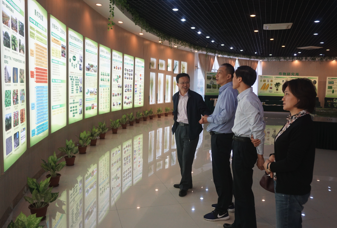 AG8�콢����(�й�)������ҳ