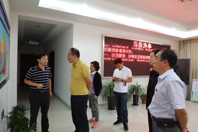 AG8�콢����(�й�)������ҳ