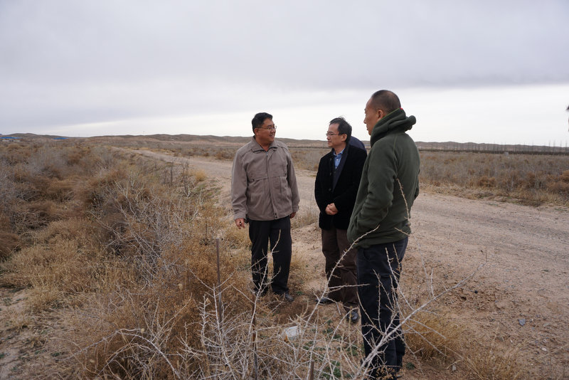 AG8�콢����(�й�)������ҳ