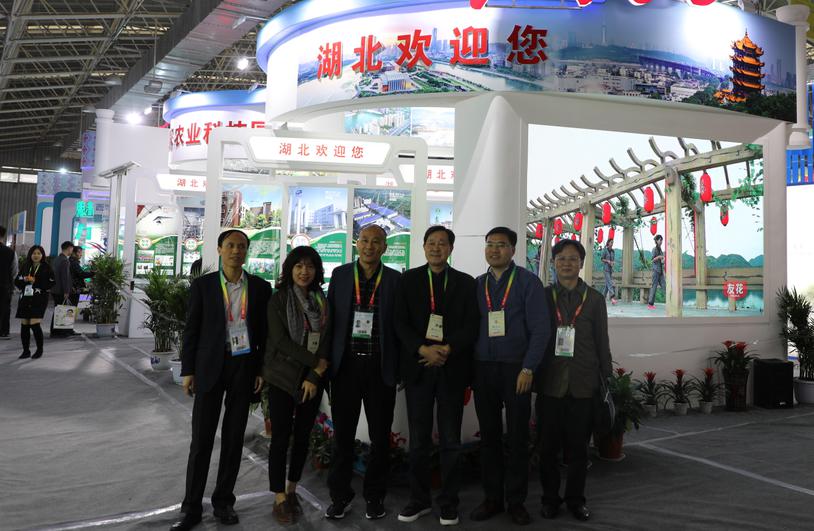 AG8�콢����(�й�)������ҳ