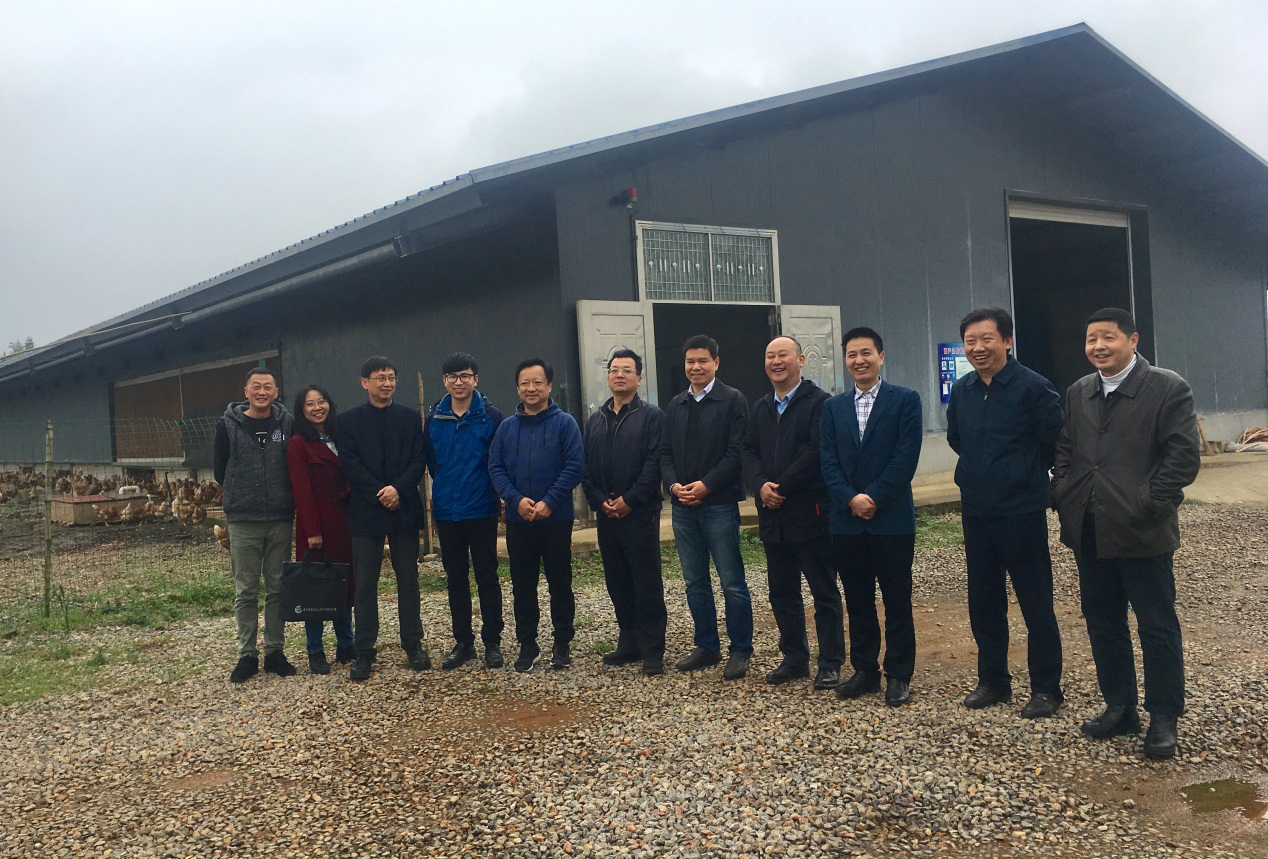 AG8�콢����(�й�)������ҳ