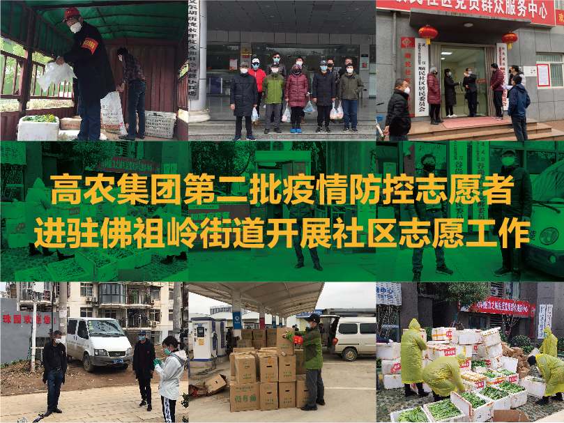 AG8�콢����(�й�)������ҳ