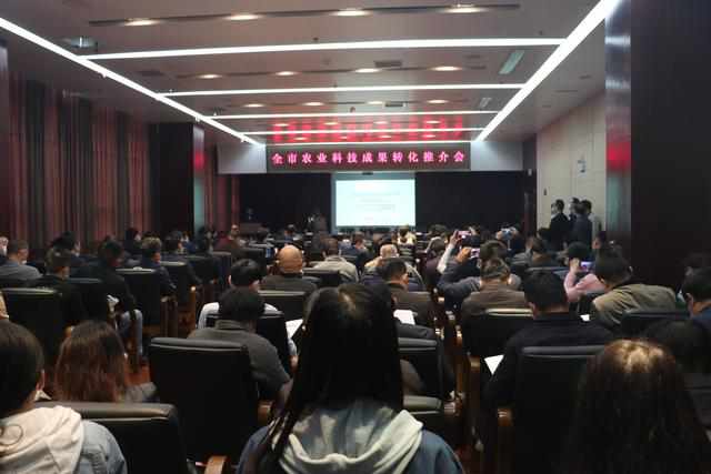 AG8�콢����(�й�)������ҳ