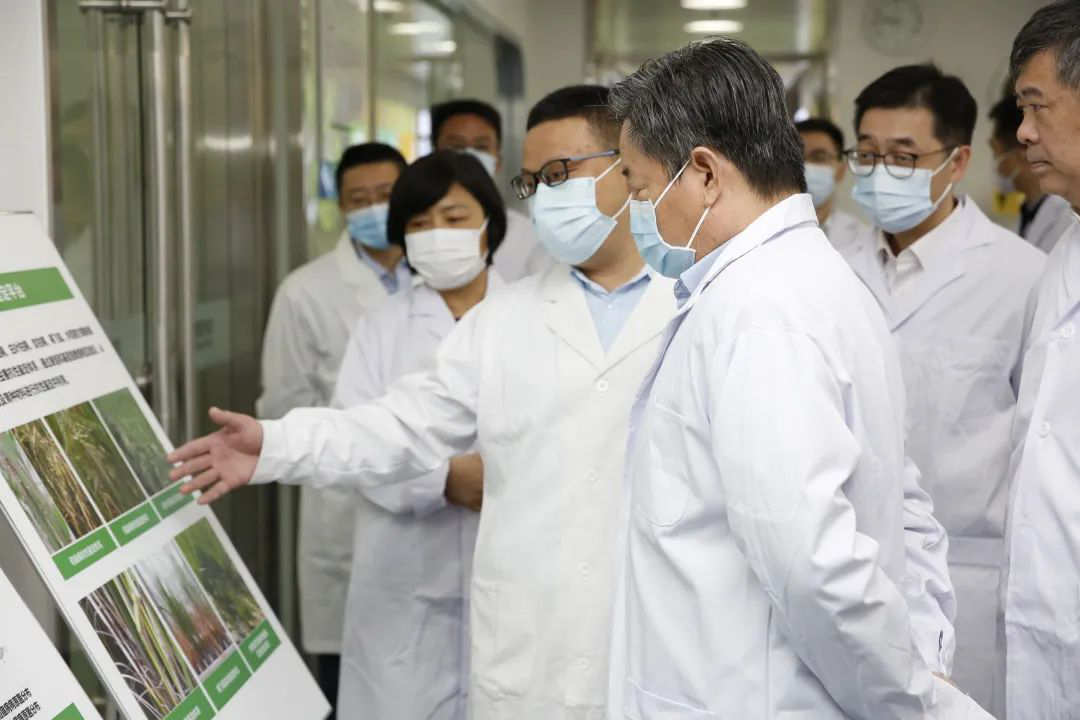 AG8�콢����(�й�)������ҳ